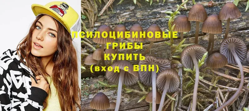 Галлюциногенные грибы Psilocybe  дарнет шоп  Великие Луки 